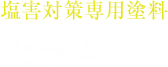 塩害対策専用塗料 セラム